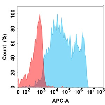 PDL2 Antibody
