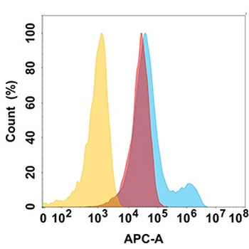 MICB Antibody