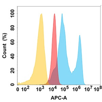 EPHA2 Antibody