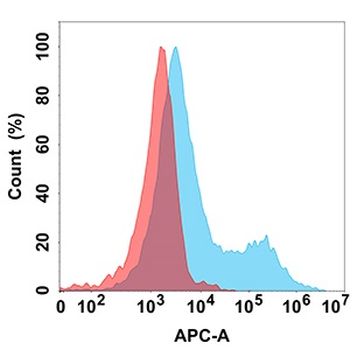 CD37 Antibody