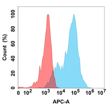 EPHA3 Antibody