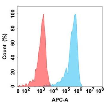 CD5 Antibody