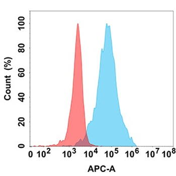LAG3 Antibody