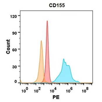 Anti-CD155 antibody(DM146); Rabbit mAb
