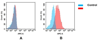 Anti-CD155 antibody(DM146); Rabbit mAb