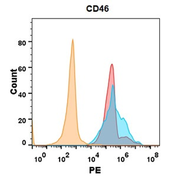 Anti-CD46 antibody(DM145); Rabbit mAb