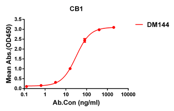 CB1 Antibody