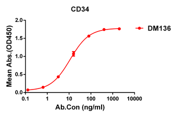 CD34 Antibody