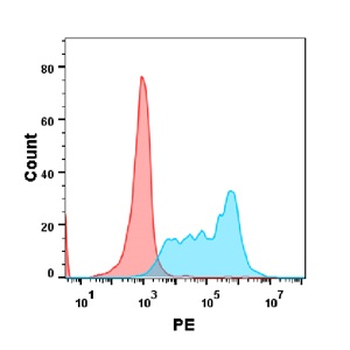 Anti-CD34 antibody(DM136); Rabbit mAb