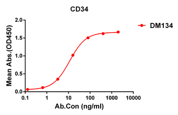 CD34 Antibody