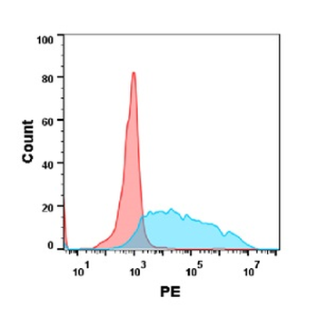 Anti-CD34 antibody(DM134); Rabbit mAb
