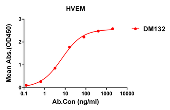 HVEM Antibody