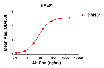 HVEM Antibody