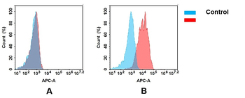 Anti-IL17RA antibody(DM125); Rabbit mAb