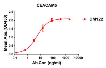 CEACAM5 Antibody