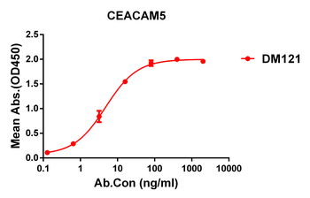 CEACAM5 Antibody