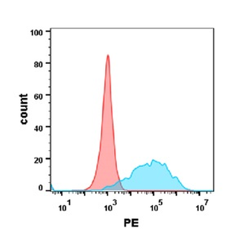 Anti-CEACAM5 antibody(DM120); Rabbit mAb
