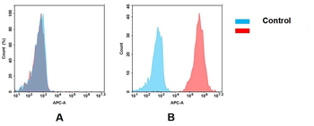 Anti-CEACAM5 antibody(DM120); Rabbit mAb