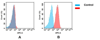 Anti-CD7 antibody(DM119); Rabbit mAb