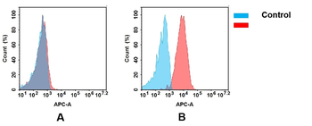 Anti-CD7 antibody(DM118); Rabbit mAb