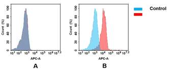 Anti-TNFRSF10B antibody(DM115); Rabbit mAb