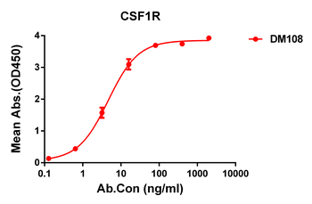 CSF1R Antibody