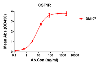 CSF1R Antibody