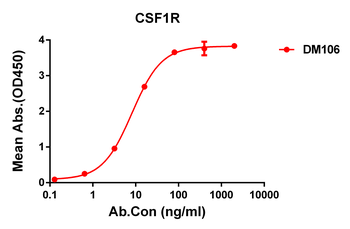 CSF1R Antibody