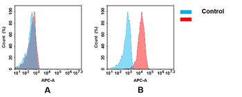 Anti-CD30 antibody(DM105); Rabbit mAb