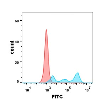 Anti-CD30 antibody(DM104); Rabbit mAb
