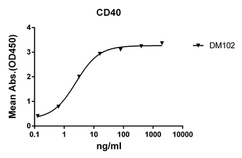 CD40 Antibody