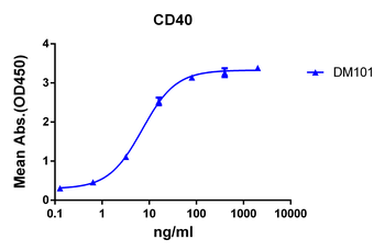 CD40 Antibody