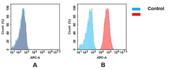 Anti-CD40 antibody(DM100), Rabbit mAb