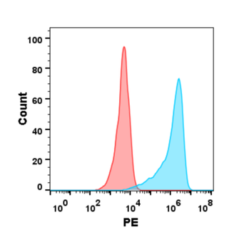 Anti-B7-H2 antibody(DM99); Rabbit mAb