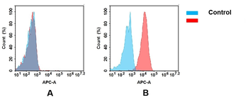 Anti-B7-H2 antibody(DM99); Rabbit mAb