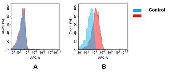Anti-B7-H2 antibody(DM98); Rabbit mAb