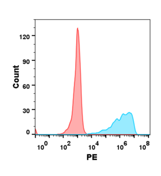 Anti-B7-H2 antibody(DM97); Rabbit mAb