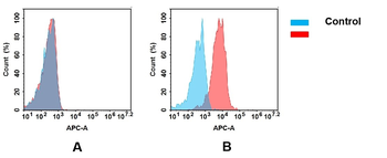 Anti-B7-H2 antibody(DM97); Rabbit mAb
