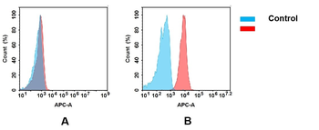 Anti-BTN3A1 antibody(DM94); Rabbit mAb