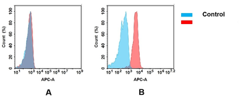 Anti-BTN3A1 antibody(DM93); Rabbit mAb