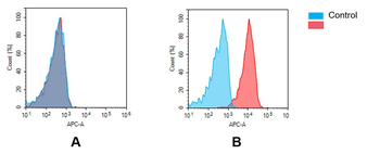 Anti-GPRC5D antibody(DM91); Rabbit mAb