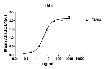 TIM3 Antibody