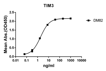 TIM3 Antibody