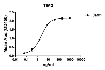 TIM3 Antibody