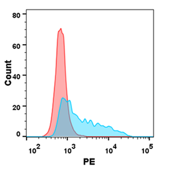 Human CLEC2D Protein, His Tag