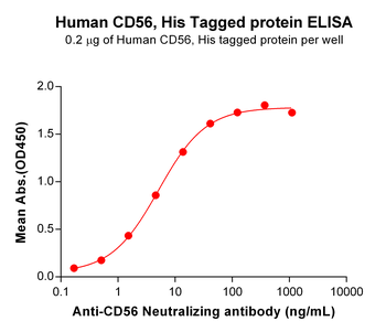 Human HPSE Protein, His Tag