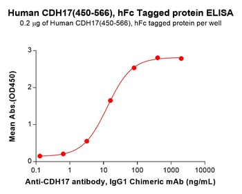 Mouse NCL Protein, His Tag