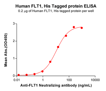 Human FASLG Protein, hFc Tag