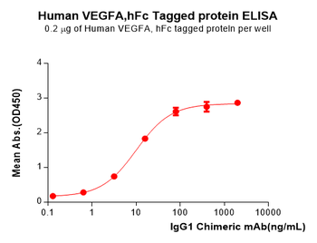 Human MRP1 Protein, hFc Tag