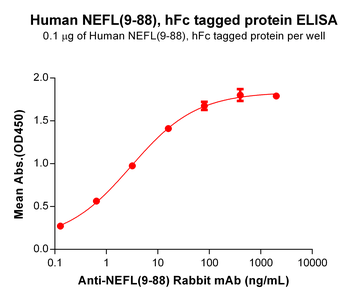 Human IL8 Protein, hFc Tag